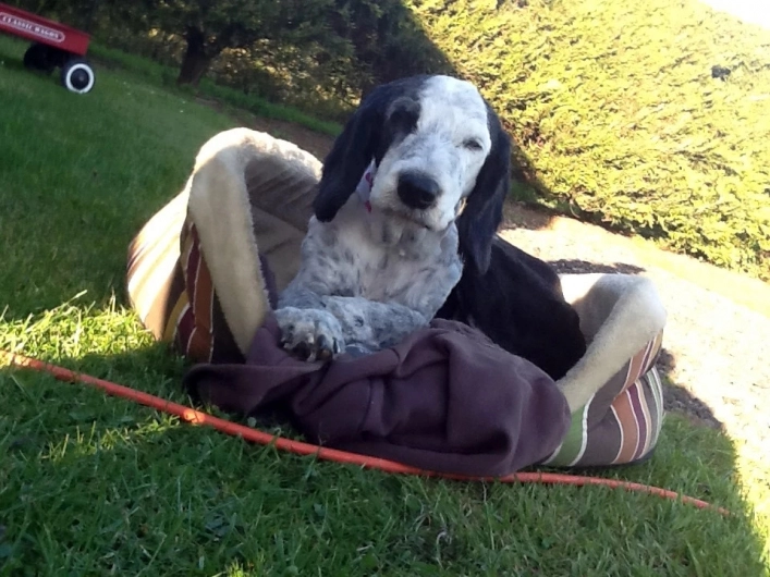 zobacz camping - zdjęcie 21