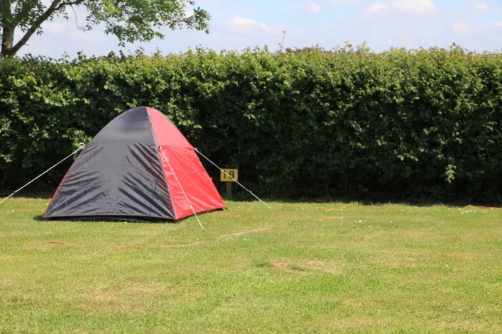 zobacz camping - zdjęcie 13