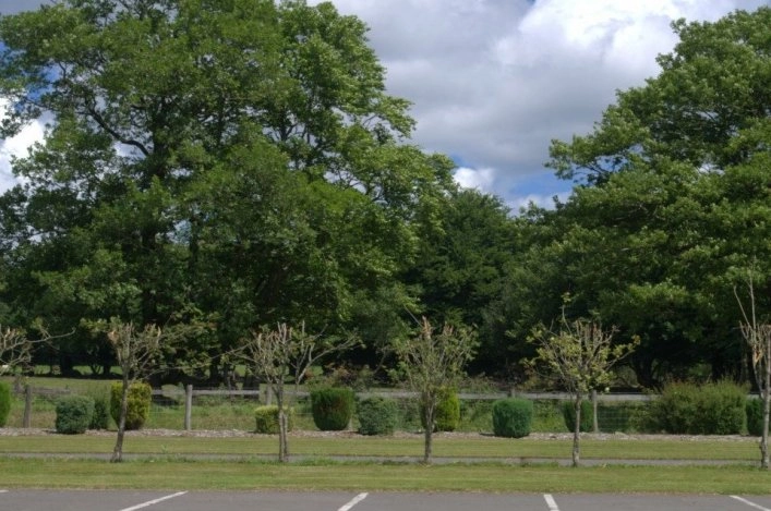 zobacz camping - zdjęcie 16