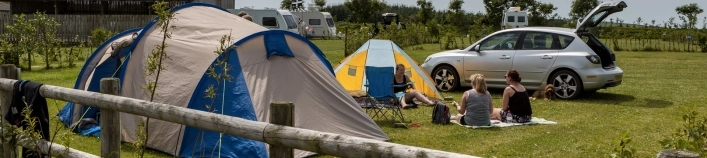 Pentire Haven Holiday Park - zdjęcie 4