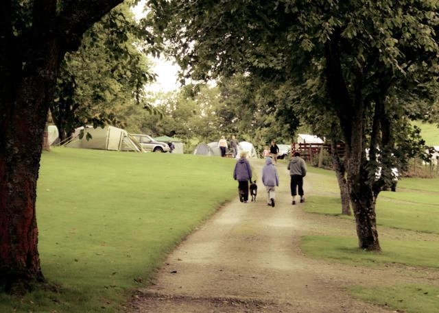 zobacz camping - zdjęcie 16