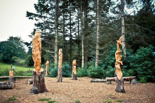 zobacz camping - zdjęcie 15