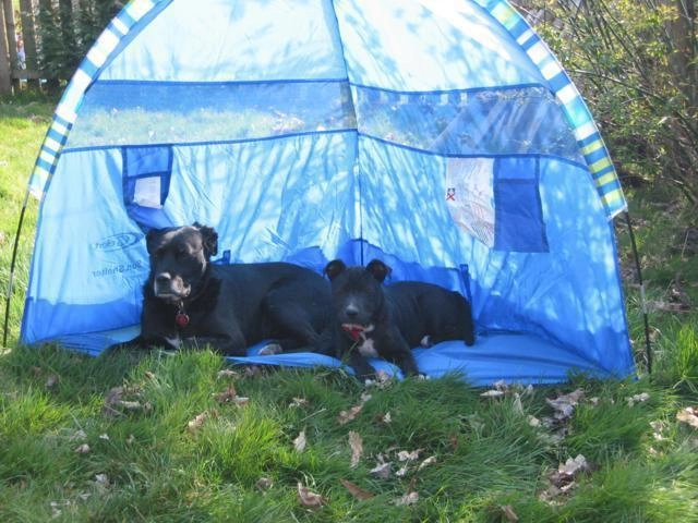 zobacz camping - zdjęcie 9