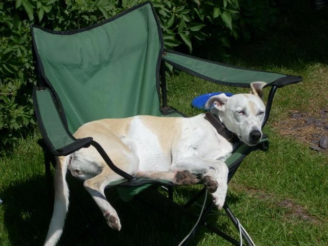 Pen-y-bont Touring & Camp. Park - zdjęcie 1