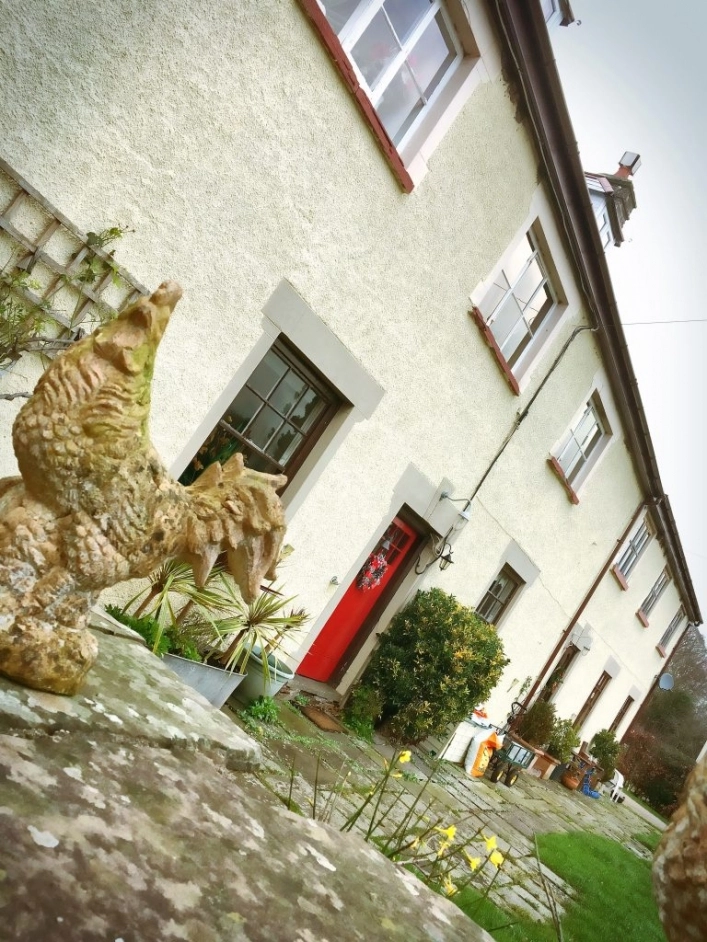 zobacz camping - zdjęcie 9