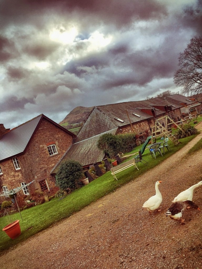 zobacz camping - zdjęcie 7