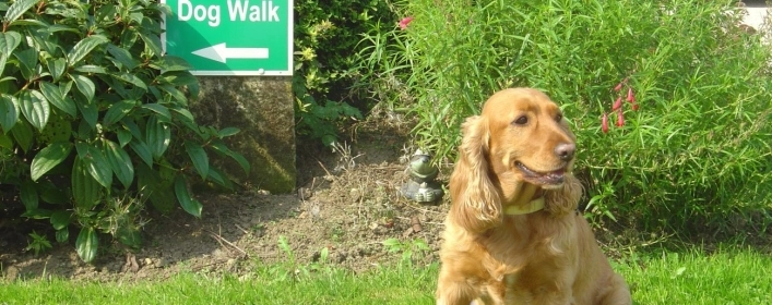 zobacz camping - zdjęcie 4