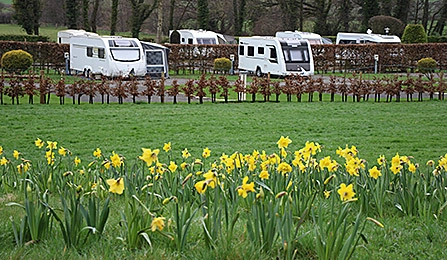 zobacz camping - zdjęcie 3