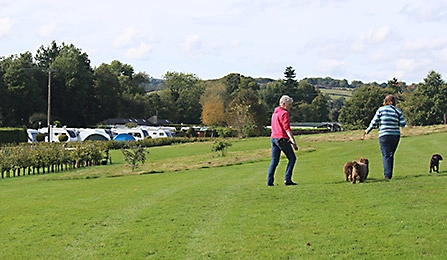 zobacz camping - zdjęcie 1