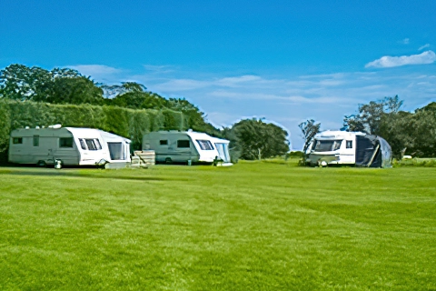 Proctors Stead Caravan Site