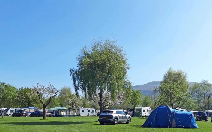 Pyscodlyn Farm Caravan & Camping Site - zdjęcie 4