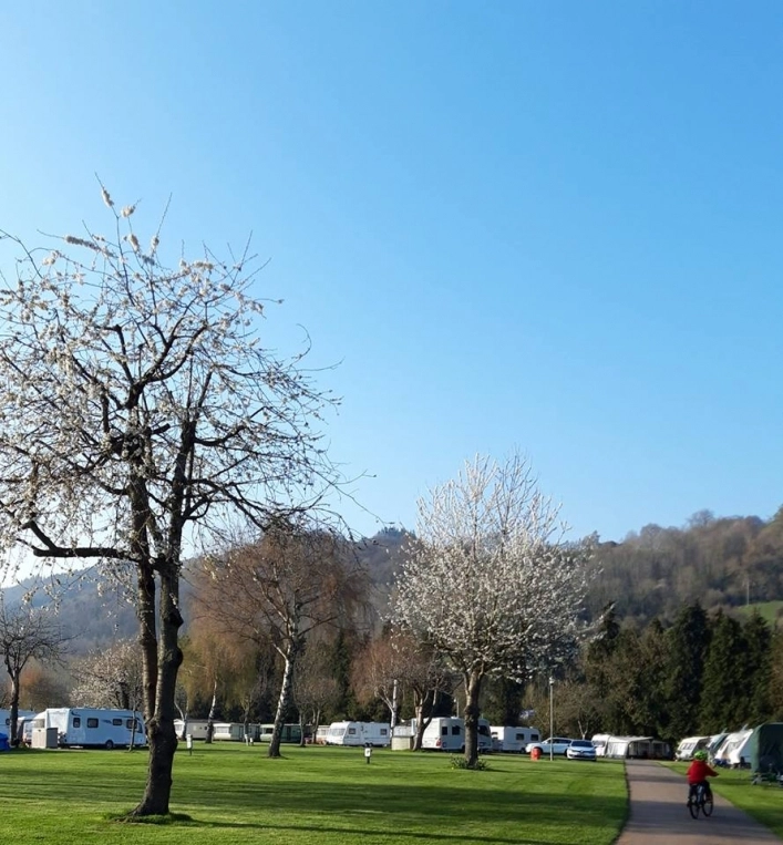 Pyscodlyn Farm Caravan & Camping Site - zdjęcie 1