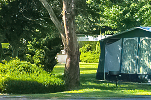Quantock Orchard Caravan Park