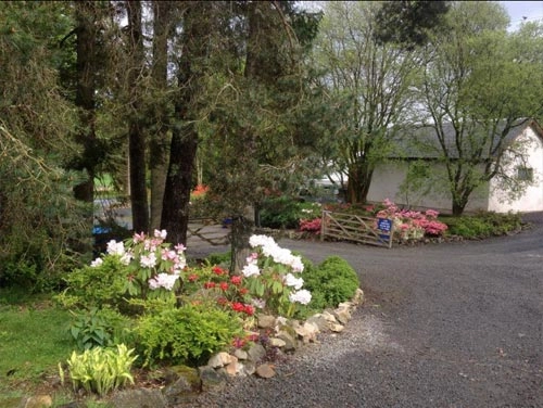 zobacz camping - zdjęcie 10