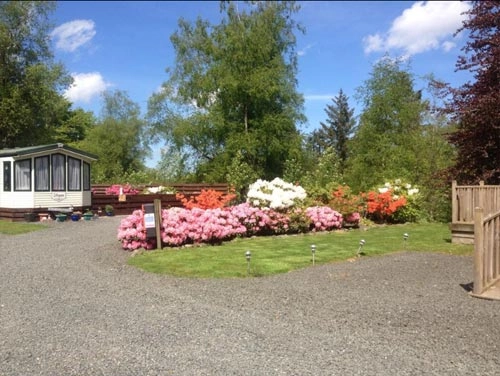 zobacz camping - zdjęcie 8