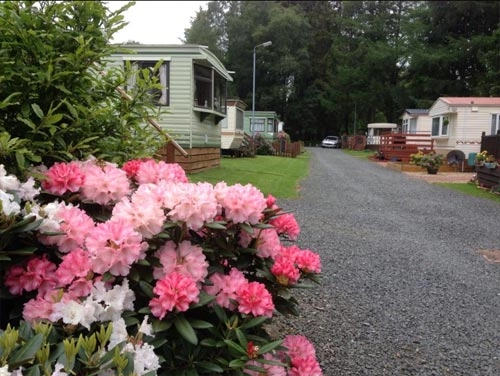 zobacz camping - zdjęcie 5