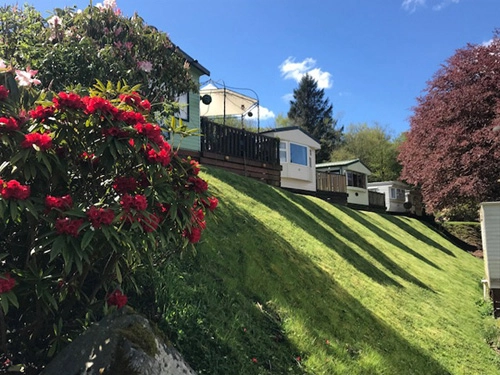 Queensland Holiday Park - zdjęcie 1