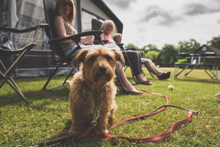 zobacz camping - zdjęcie 11