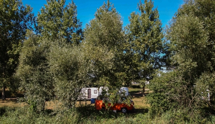 Reedham Ferry Touring and Camping Park - zdjęcie 3