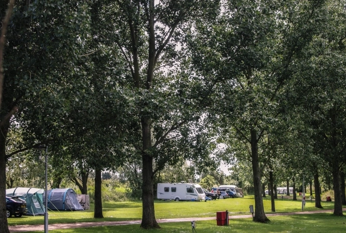 Reedham Ferry Touring and Camping Park - zdjęcie 2