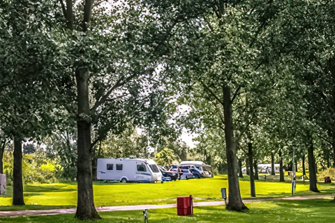 Reedham Ferry Touring and Camping Park