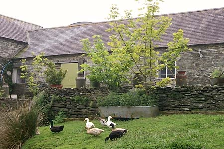 Rhydhowell Farm Campsite - zdjęcie 3