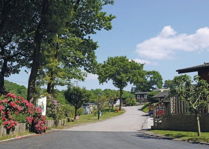 Ridgeway Country Holiday Park - zdjęcie 4