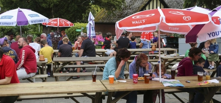 River Dart Country Park - zdjęcie 3