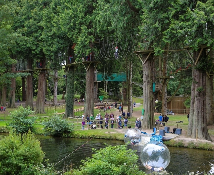 River Dart Country Park - zdjęcie 1