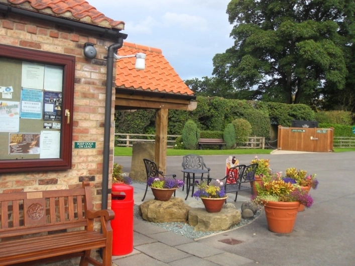 zobacz camping - zdjęcie 11