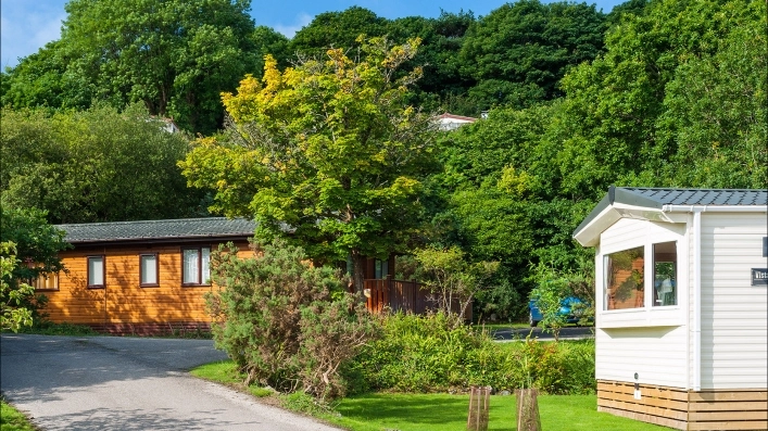 zobacz camping - zdjęcie 8