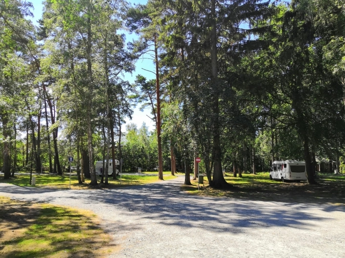 Galeria zdjęć - zdjęcie 13