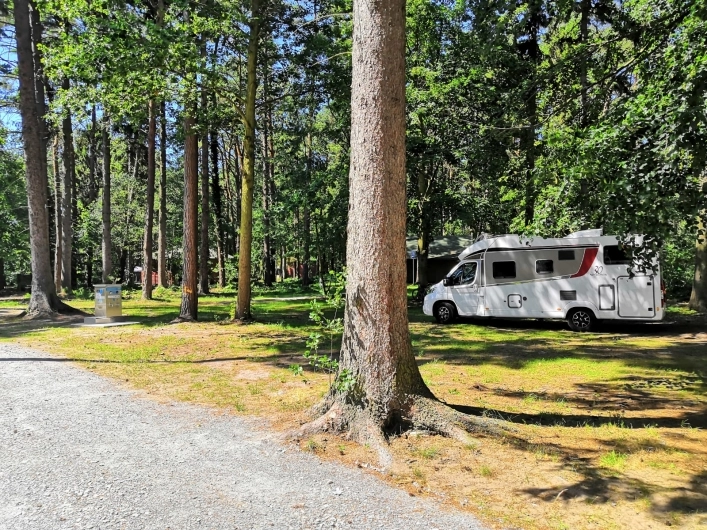 Galeria zdjęć - zdjęcie 14