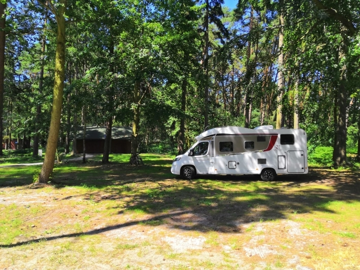 Galeria zdjęć - zdjęcie 15