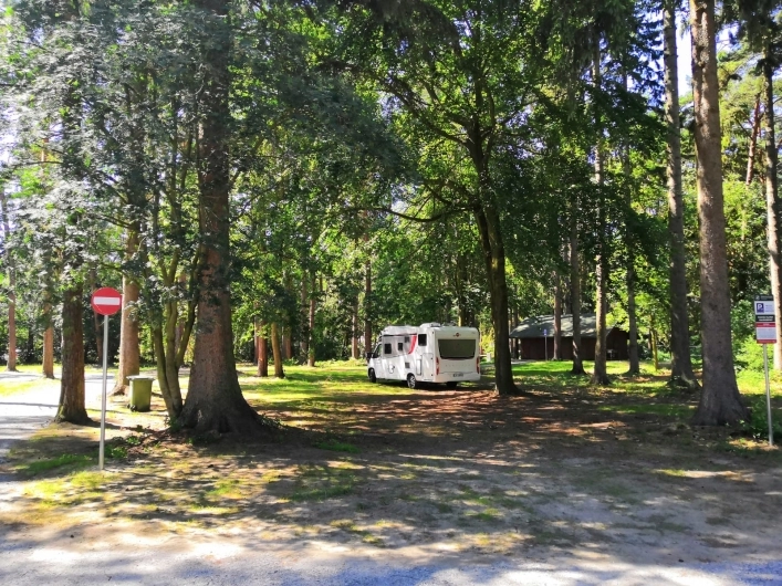 Galeria zdjęć - zdjęcie 17