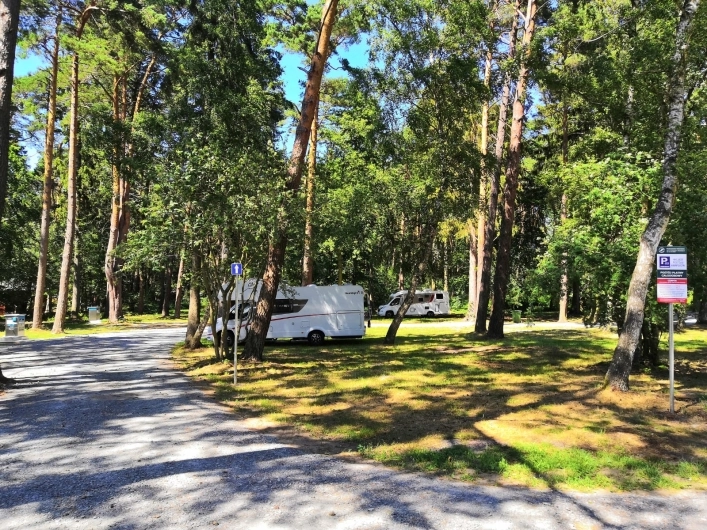 Galeria zdjęć - zdjęcie 19