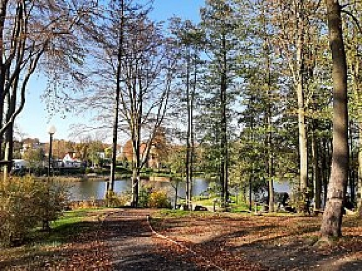 OW OMEGA - zdjęcie 2