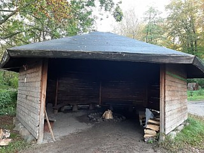 OW OMEGA - zdjęcie 1