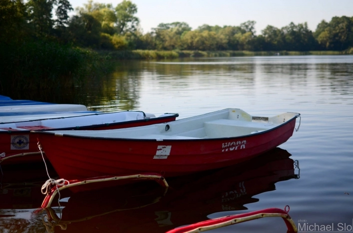 Galeria zdjęć - zdjęcie 6