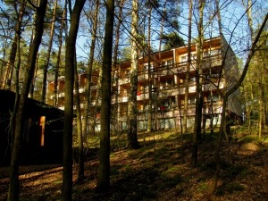 Galeria zdjęć - zdjęcie 4