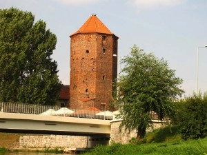 Galeria zdjęć - zdjęcie 12