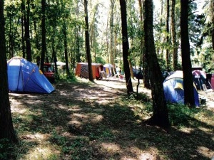 Galeria zdjęć - zdjęcie 25