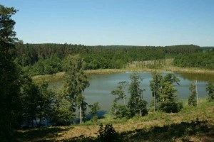 Galeria zdjęć - zdjęcie 31