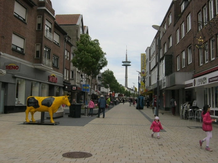 Galeria zdjęć - zdjęcie 6