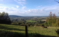 STRYSZÓW - zdjęcie 0