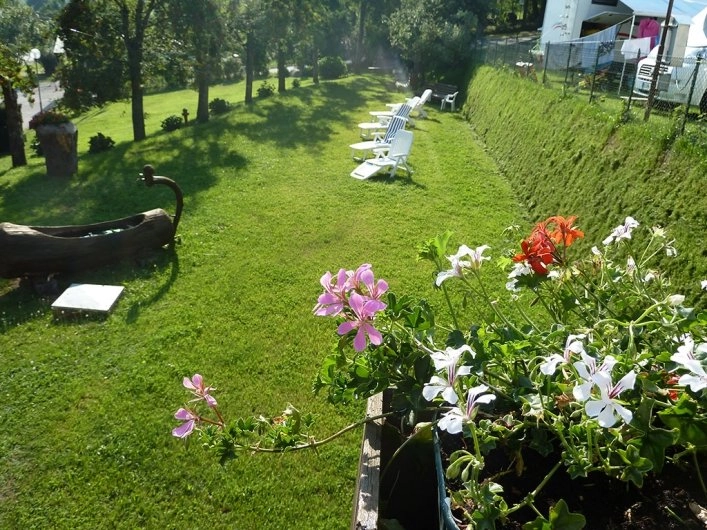 zobacz camping - zdjęcie 8