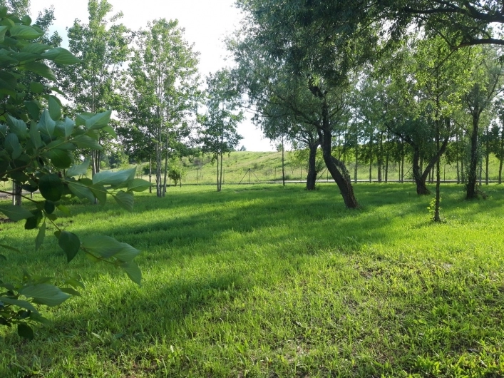 Camp&Rest Gacki Podkowa - zdjęcie 4