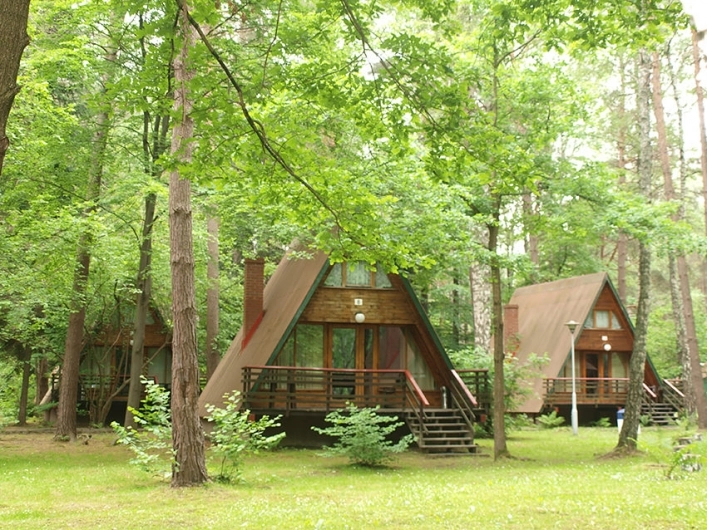 Galeria zdjęć - zdjęcie 34