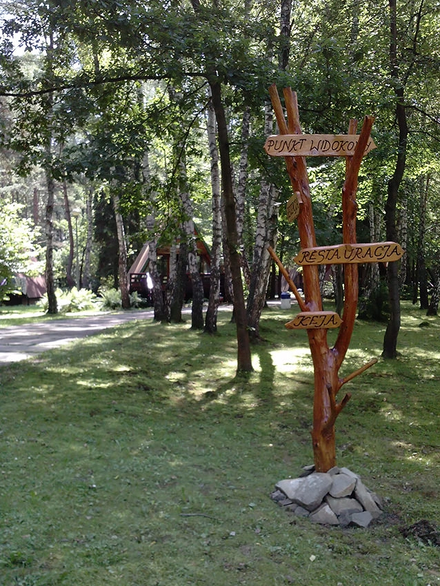 Galeria zdjęć - zdjęcie 37