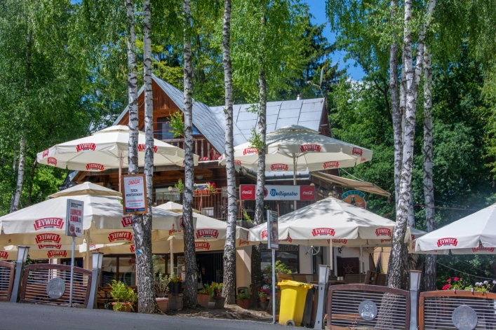 Galeria zdjęć - zdjęcie 19